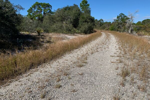 Quarter Acre Home Site Paradise Ready to Build - Lake Placid Florida