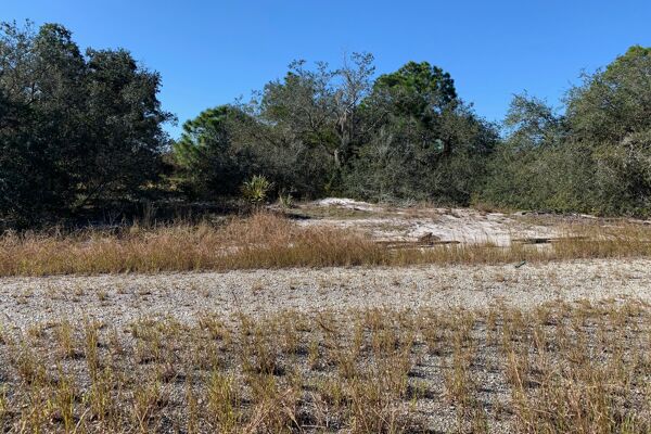 Quarter Acre Home Site Paradise Ready to Build - Lake Placid Florida