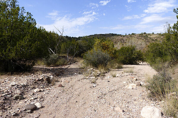 5 Acres of Off Grid Paradise in Petrified Forest Estates Arizona