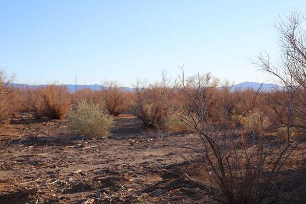 Beautiful Vacant Land with View the Valley, Mountains, and Stars Together - Mohave Valley, Az.