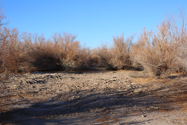 Exand Your Future in the Mohave Valley with Undeveloped Land 0.15 acres