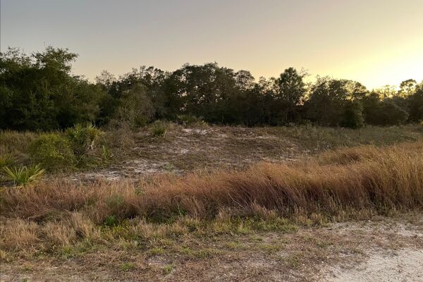 Your Future Oasis 1/4 Acre Lake Placid Florida