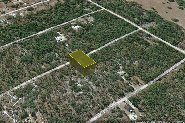 WANT A Private 🌴 Tropical Oasis ⁉️ Quarter Acre Undeveloped Land Dunnellon Florida 
