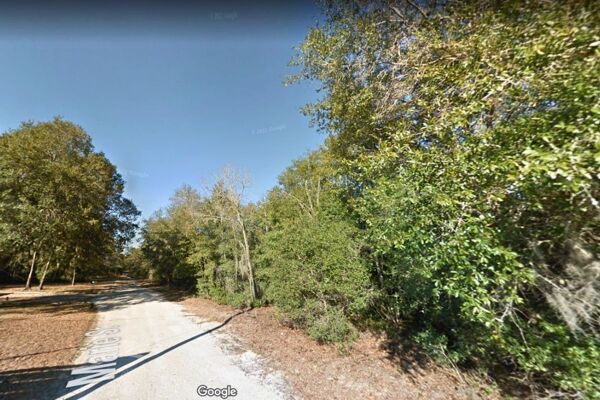 Quarter Acre of Undeveloped Land to Live WILD and FREE Mobile Home Friendly Interlachen FL
