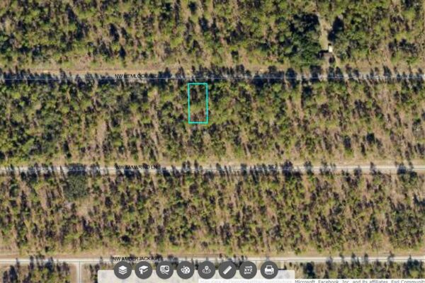 Secure an AMAZING FUTURE with Undeveloped Land in Dunnellon Fl