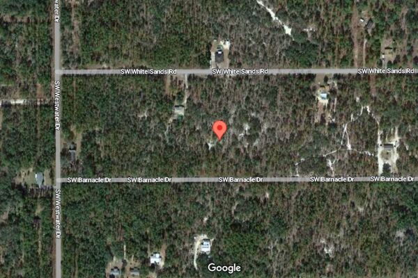 WANT A Private 🌴 Tropical Oasis ⁉️ Quarter Acre Undeveloped Land Dunnellon Florida 