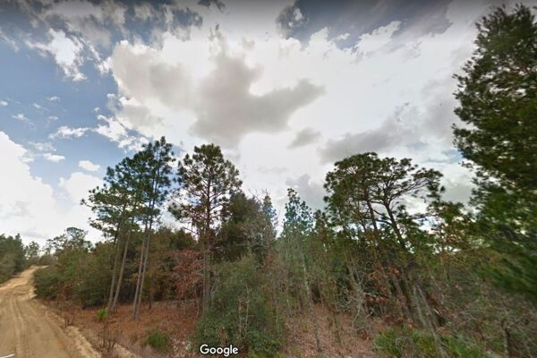 HEY⚠️ IF IT FALLS In This 0.77 Acre Forest 🌳 IT'S ALL YOURS Interlachen Florida