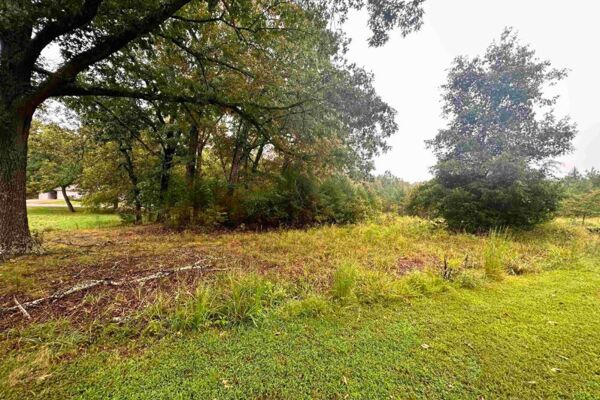 🚨 OWN a HALF Acre of OZARK Freedom in Horseshoe Bend AR