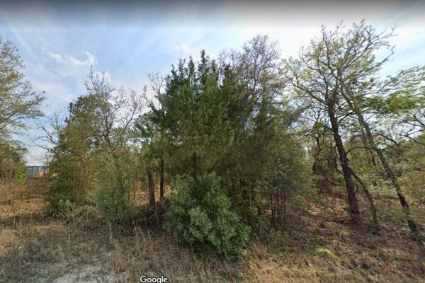 Tropical Dreams are Made Here 😎 1/2 Acre Vacant Lot Dunnellon Florida