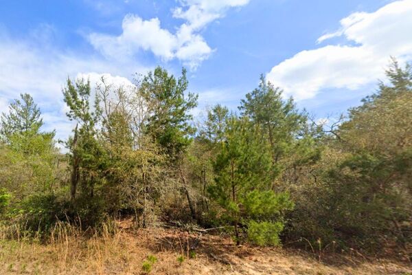 0.22 Vacant Acres of Pure Paradise in Interlachen FL 🌴 (#4 of 4 adjacent)