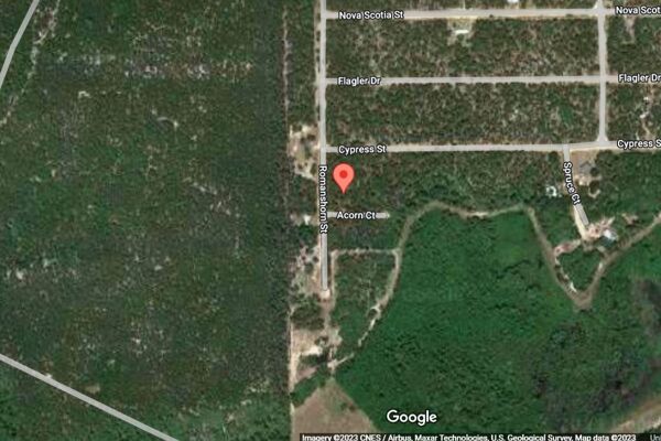 We Found this Half Acre 🌴 Unspoiled Raw Land Just for You and YOUR FREEDOM 🇺🇸 Interlachen FL