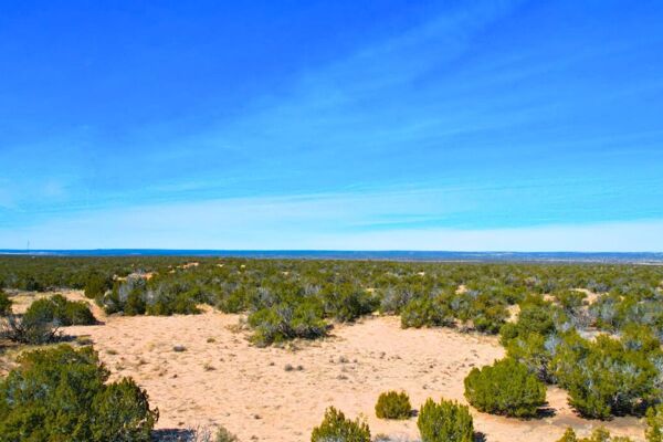 Enjoy Adventures in the HIGH DESERT 🌵RV Friendly Raw Land Sanders Arizona (1/2)