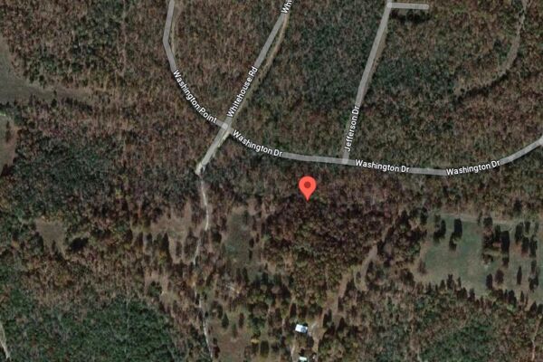 Raw Vacant Virgin Land and FREEDOM Awaiting in Horseshoe Bend, 0.35 Acres