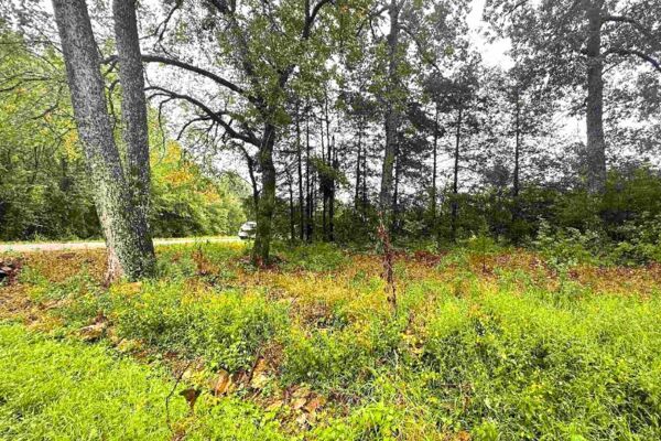 🌳 Raw Land, Real Potential 0.43 Acres in Horseshoe Bend AR