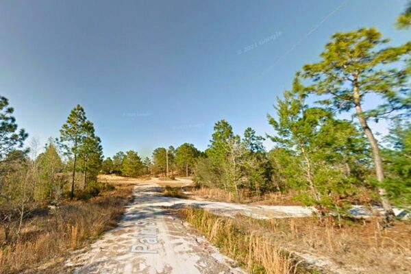 0.20 Acres Vacant Land READY for a Leader... A SULTAN 👑 Interlachen FL (#2 of 4 adjacent)