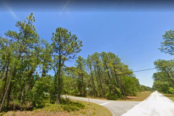 Steal a Phenomenal Gulf Coast Residential Lot Paved Roads with Power Dunnellon Fl