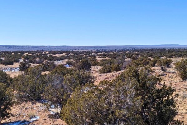 Vacant Land Perfect For ALL Your Adventures 🐎 Sanders Arizona