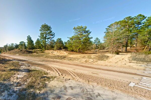 0.20 Acres Vacant Land READY for a Leader... A SULTAN 👑 Interlachen FL (#2 of 4 adjacent)