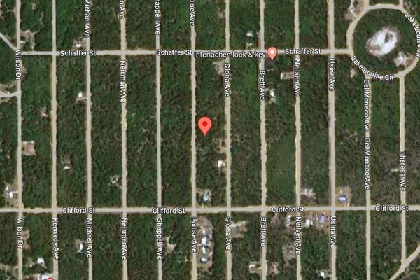 Start Your Family's Land Legacy 0.22 Acres in Interlachen FL 🌴 (#3 of 4 adjacent)