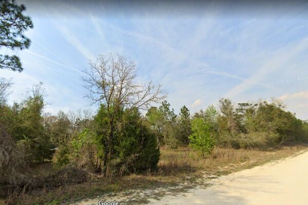 Tropical Dreams are Made Here 😎 1/2 Acre Vacant Lot Dunnellon Florida