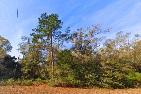 Lake Access for 0.40 Acres of Freedom in Interlachen FL