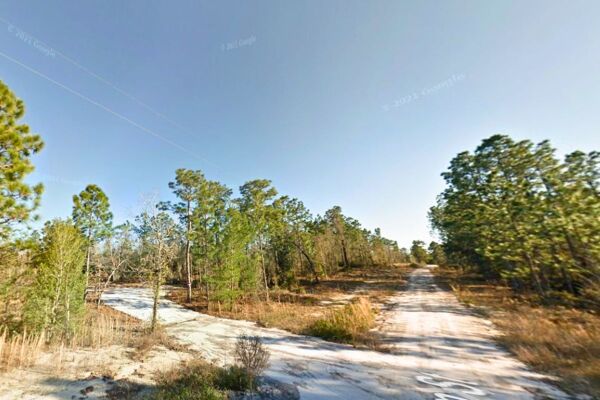 A HOMESTEAD For the Queen 👸 in YOUR Life 0.20 Acres Interlachen FL (#3 of 4 adjacent)