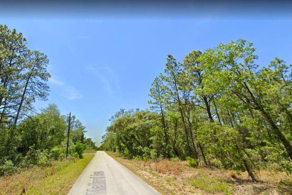 Steal a Phenomenal Gulf Coast Residential Lot Paved Roads with Power Dunnellon Fl