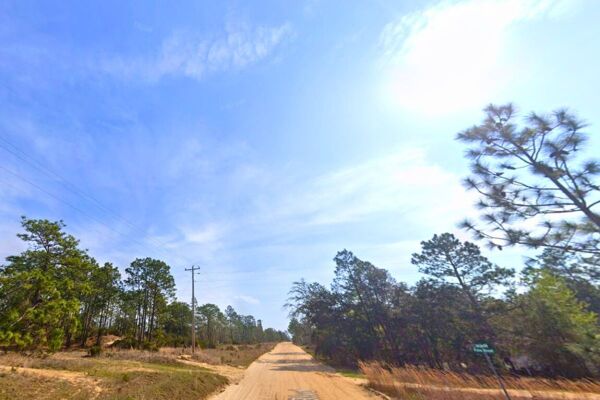 A HOMESTEAD For the Queen 👸 in YOUR Life 0.20 Acres Interlachen FL (#3 of 4 adjacent)