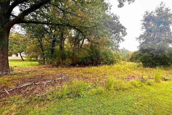 🌳 Raw Land, Real Potential 0.43 Acres in Horseshoe Bend AR